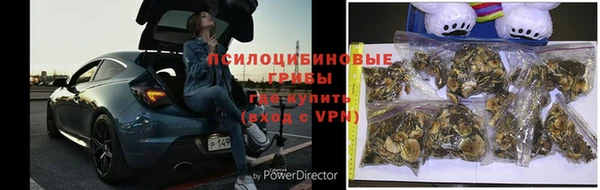 эйфоретик Медногорск