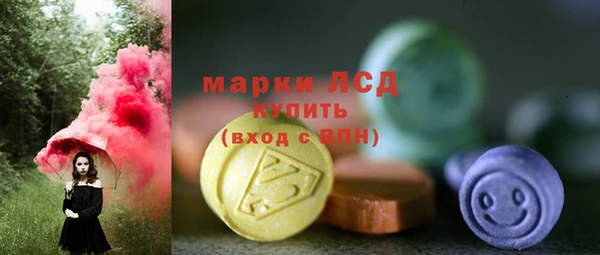СК Медвежьегорск