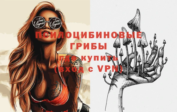 дмт Мегион