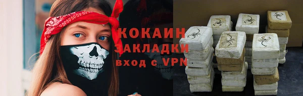 СК Медвежьегорск