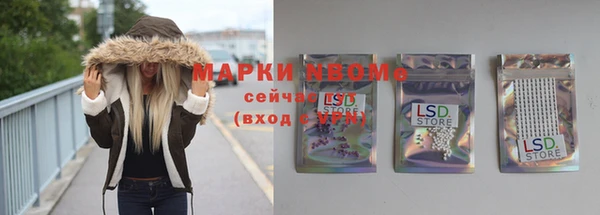 СК Медвежьегорск
