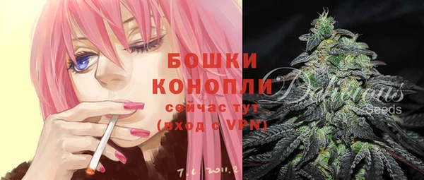 дмт Мегион