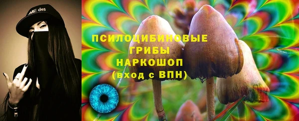эйфоретик Медногорск
