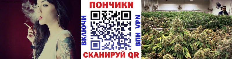 Бошки марихуана SATIVA & INDICA  наркотики  Гвардейск 